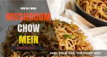 Easy Mushroom Chow Mein Recipe: Quick, Flavorful, and Veggie-Packed Stir-Fry Delight