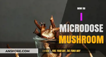 Microdosing Mushrooms: A Beginner's Guide to Safe Usage