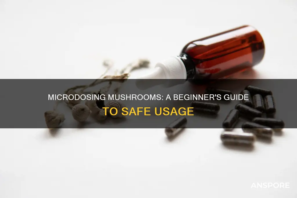 how do i microdose mushrooms