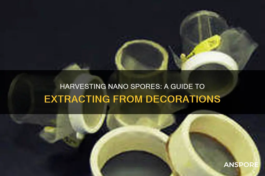 how do i obtain nano spores from nano spore decorations