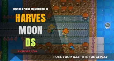 Planting Mushrooms in Harvest Moon DS: A Guide