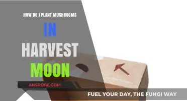 Planting Mushrooms in Harvest Moon: A Step-by-Step Guide