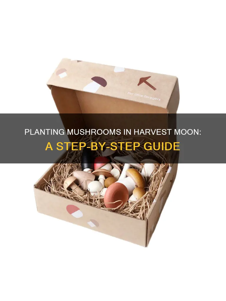 how do i plant mushrooms in harvest moon