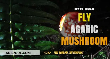 Preparing Fly Agaric Mushrooms: A Step-by-Step Guide