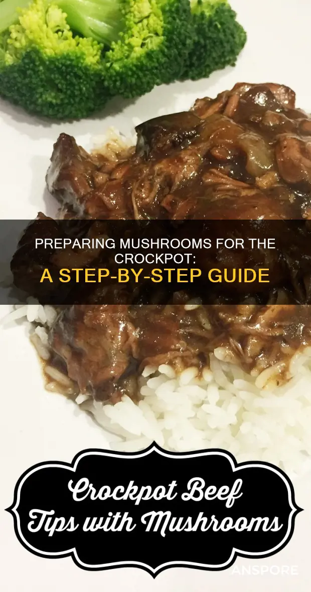 how do i prepare mushrooms for the crockpot