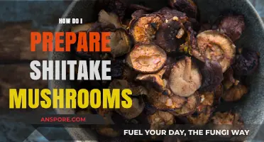 Shiitake Mushrooms: Simple Preparation Techniques for Delicious Results