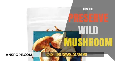 Preserving Wild Mushrooms: Techniques for Foraging Fanatics