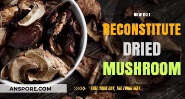 Reviving Dried Mushrooms: Simple Steps to Reconstitute and Enhance Flavor