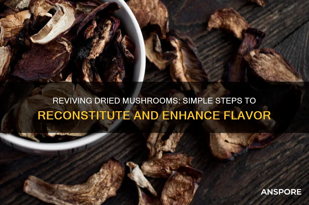 how do i reconstitute dried mushrooms