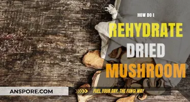 The Magic of Rehydrating Dried Mushrooms: A Quick Guide