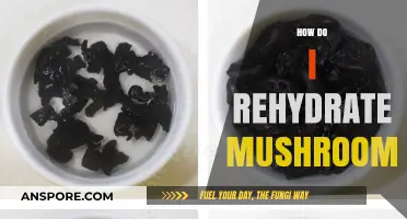 The Magic of Rehydrating Mushrooms: A Quick Guide