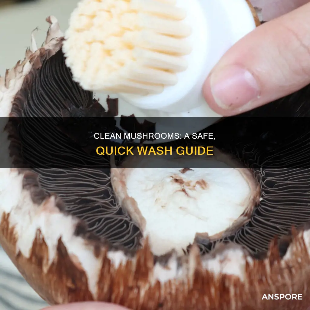 how do i safely wash mushrooms