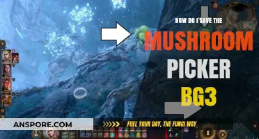Strategies to Save the Mushroom Picker in BG3
