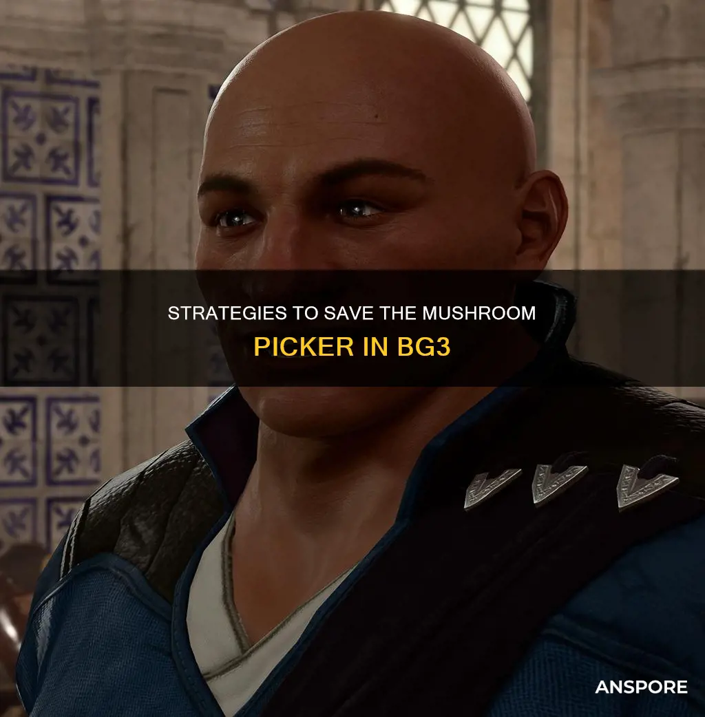 how do i save the mushroom picker bg3