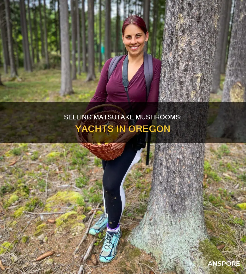 how do i sell matsutake mushrooms in yachts oregon