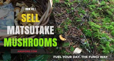 Selling Matsutake Mushrooms: A Beginner's Guide