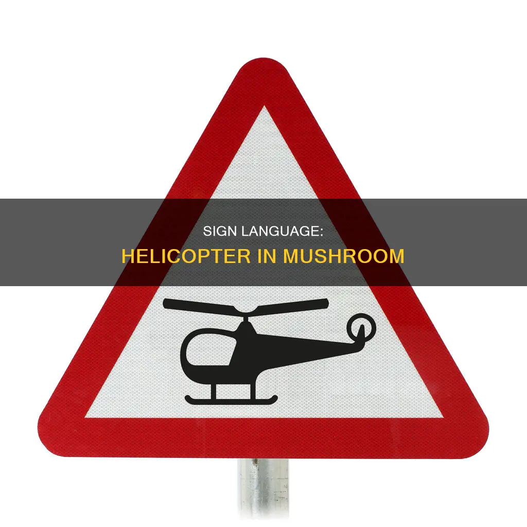 how do i sign helicopter in mushroom