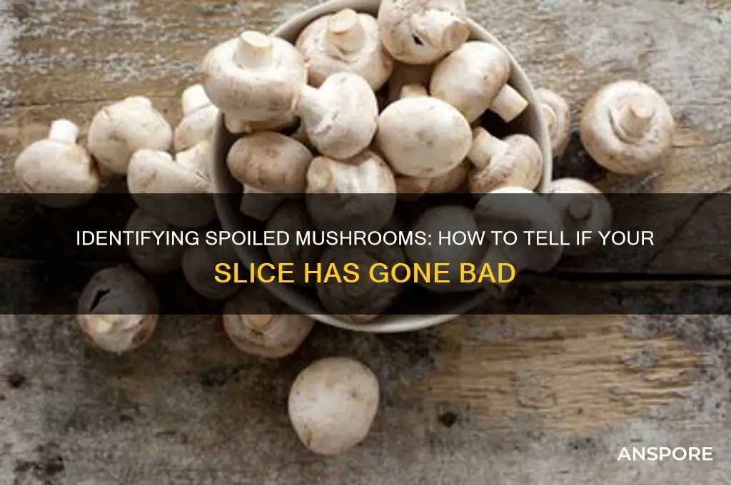 how do i slice mushroom has gone bad