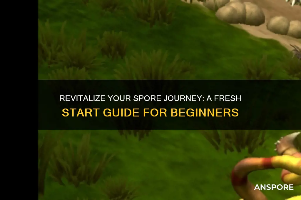 how do i start from fresh in spore
