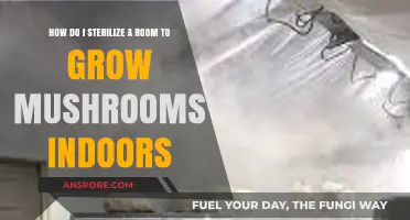 Sterilizing Your Indoor Mushroom Grow Room: A Step-by-Step Guide