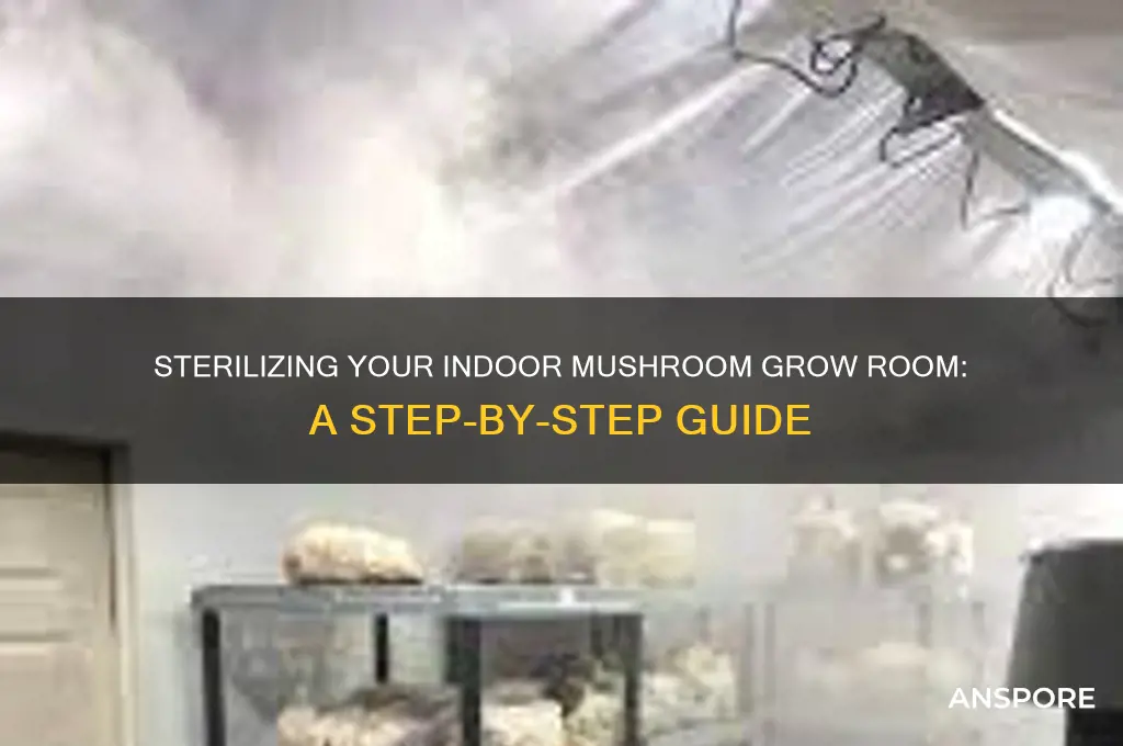 how do i sterilize a room to grow mushrooms indoors