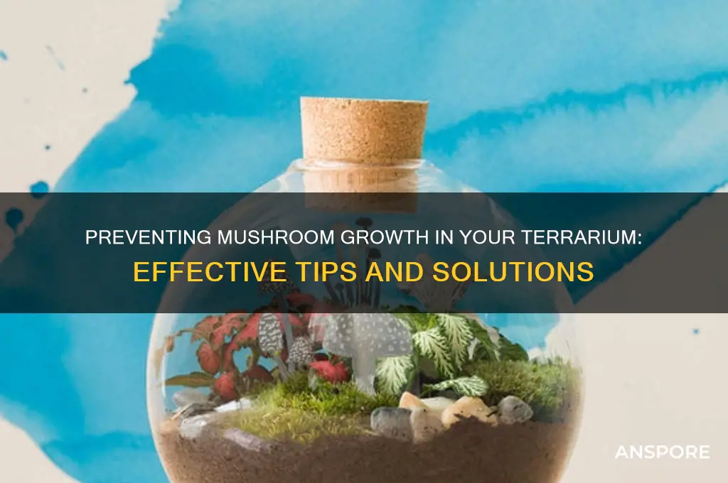 how do i stop mushrooms from growing in my trerrium