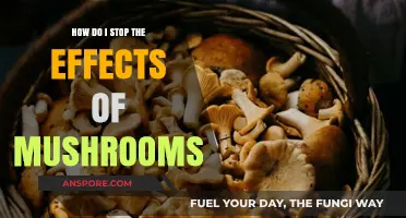 Neutralizing Mushroom Trips: Reversing Psychedelic Effects