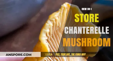 Storing Chanterelle Mushrooms: Tips and Tricks