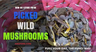 Wild Mushroom Storage: Freshly Picked, Longer Lasting