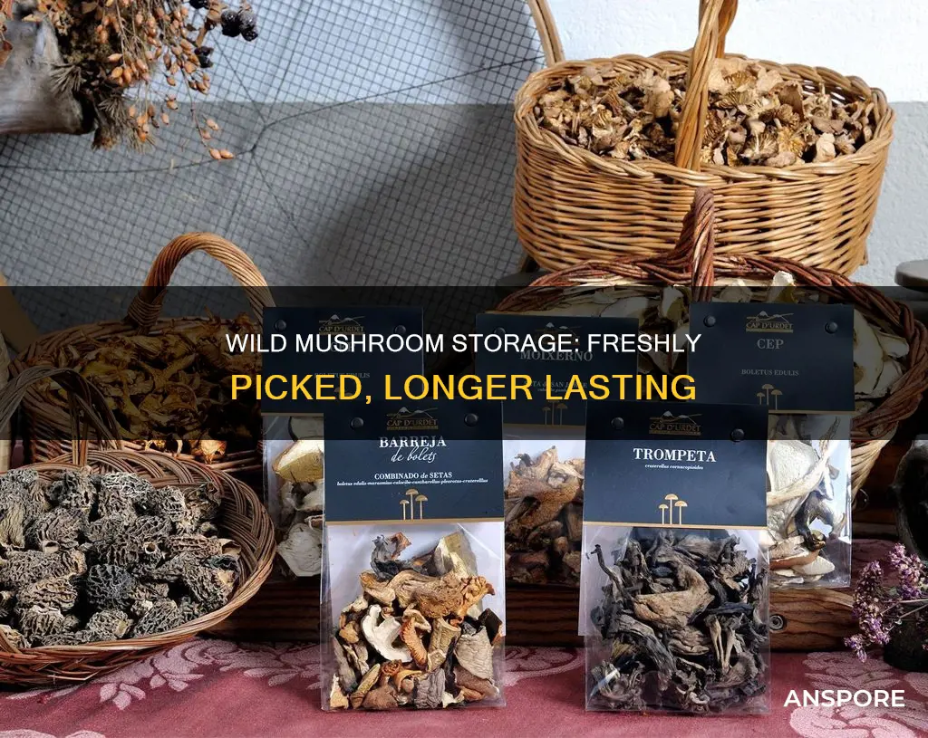 how do i store fresh picked wild mushrooms