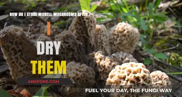 Properly Storing Dried Morel Mushrooms: Tips for Longevity and Flavor