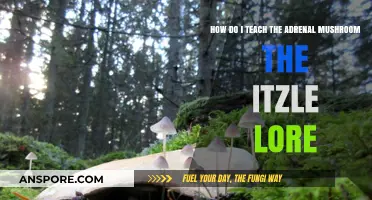 Teaching Adrenal Mushroom Itzle Lore: A Beginner's Guide