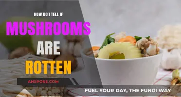 Spotting Rotten Mushrooms: Signs to Look Out For