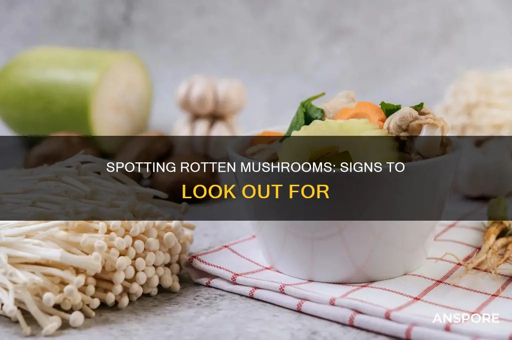 how do i tell if mushrooms are rotten
