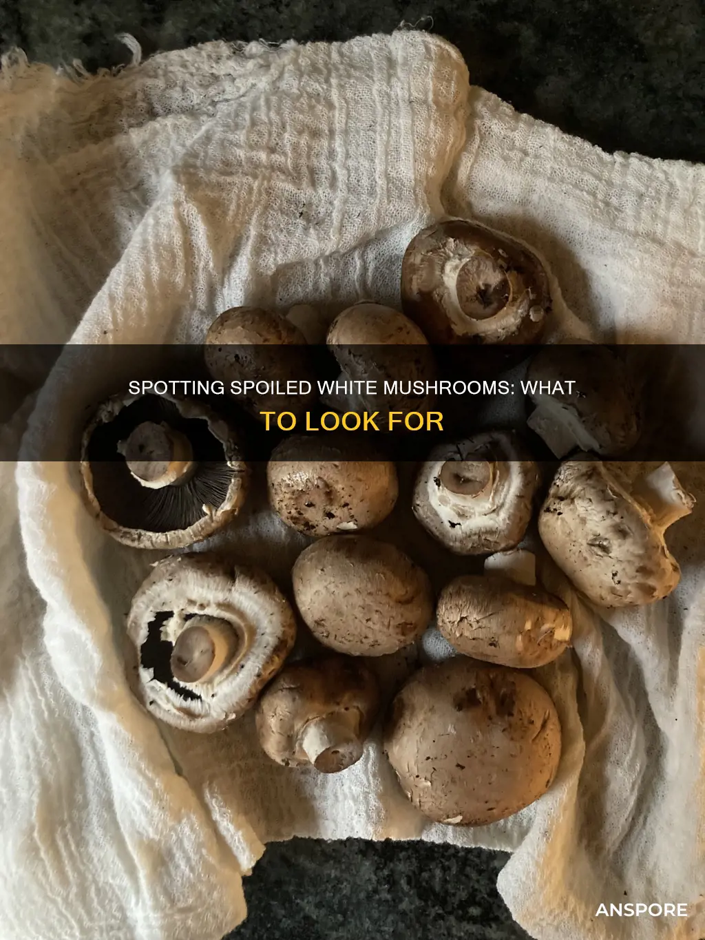 how do i tell when sliced white mushrooms are spoiled