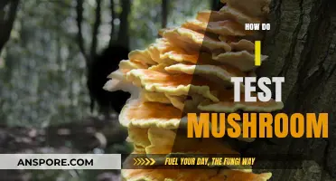 Testing Mushrooms: A Guide to Edible Identification