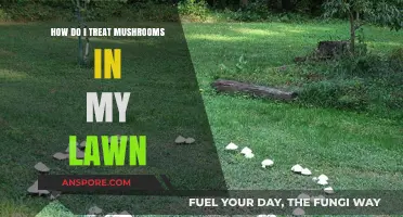 Treating Mushrooms on Your Lawn: A Guide