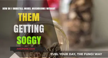 Uninstalling Morel Mushrooms: Tips to Keep Them Crisp and Dry