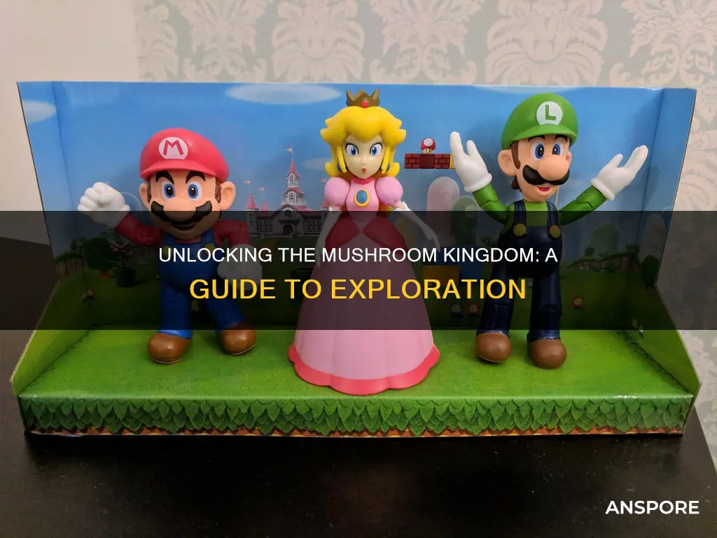 how do i unlock mushroom kingdom