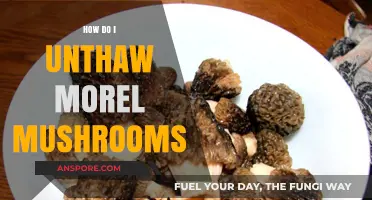 Safely Unthawing Morel Mushrooms: A Step-by-Step Guide for Perfect Texture