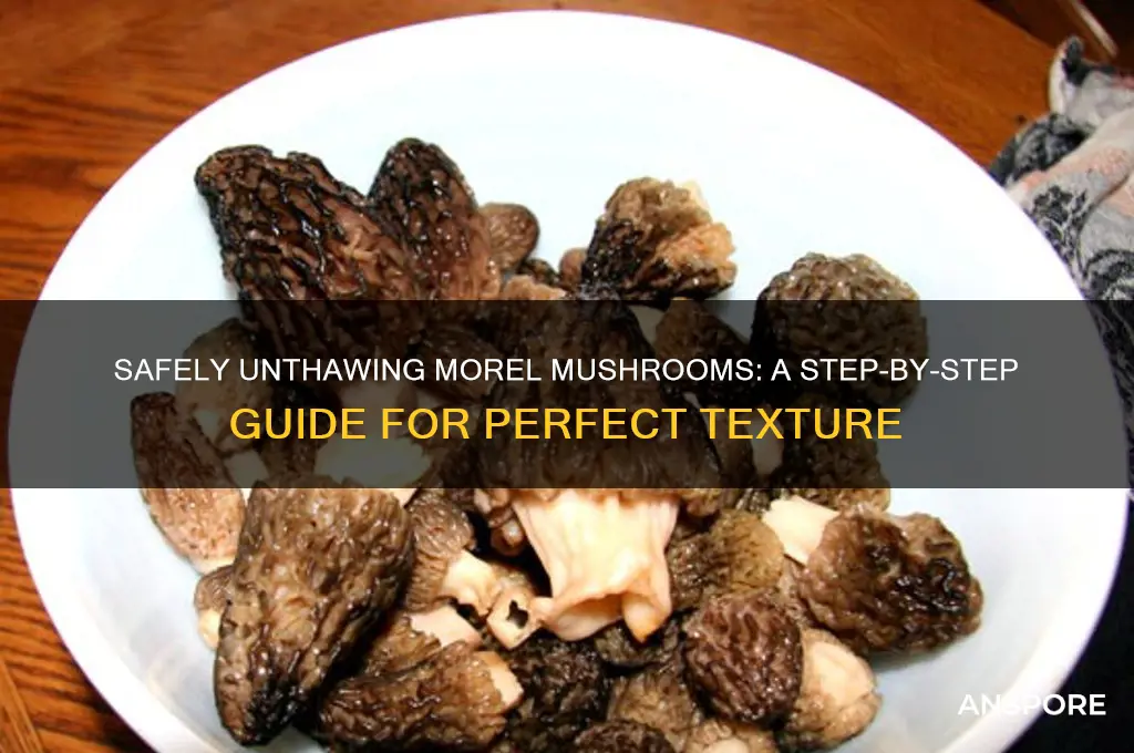 how do i unthaw morel mushrooms