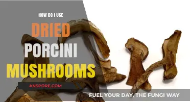 Unlocking Flavor: Creative Ways to Use Dried Porcini Mushrooms