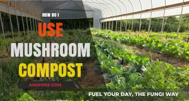 Using Mushroom Compost: A Beginner's Guide to Boosting Garden Health