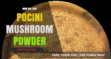Unlocking Flavor: Creative Ways to Use Porcini Mushroom Powder