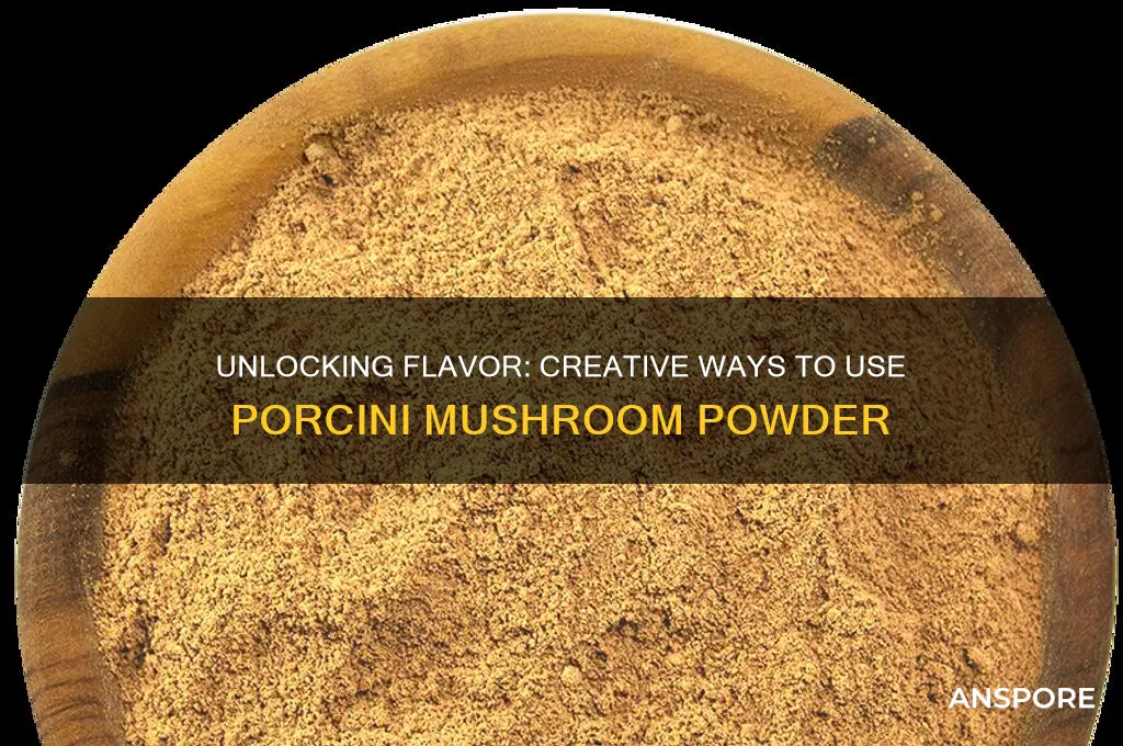 how do i use pocini mushroom powder