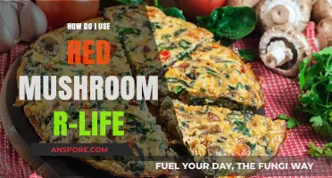 Mastering Red Mushroom R-Life: A Comprehensive Guide to Usage and Benefits