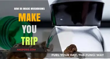 Unveiling the Psychedelic Journey: How Magic Mushrooms Induce Trips