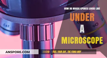 Unveiling the Microscopic Beauty of Magic Spores: A Visual Exploration