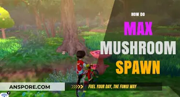 Finding Max Mushrooms: A Guide to Spawning