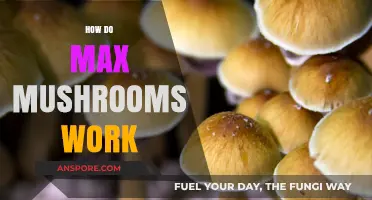Max Mushrooms: Unlocking the Power of Psychedelics